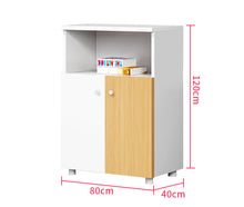 Load image into Gallery viewer, SleekLite Office Storage Cabinet - Mr Nanyang