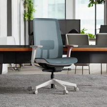 Load image into Gallery viewer, OptiSeat Max Ergonomic Office Chair - Mr Nanyang