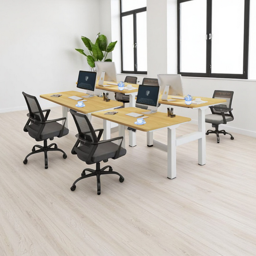 ProStation Adjustable Standing Desks - Mr Nanyang