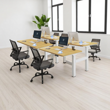 Load image into Gallery viewer, ProStation Adjustable Standing Desks - Mr Nanyang