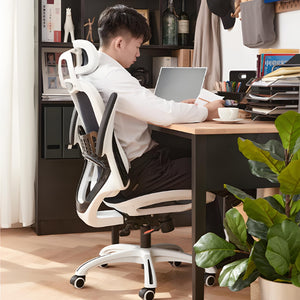 Posture Perfect Mesh Chair - Mr Nanyang