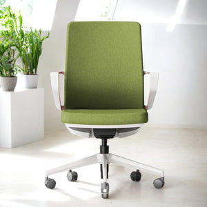 TaskFlex Premier Ergonomic Office Chair - Mr Nanyang