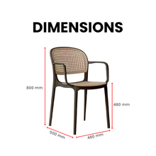 Load image into Gallery viewer, SleekSynth Plastic Rattan Armchair - Mr Nanyang