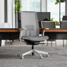 Load image into Gallery viewer, OptiSeat Max Ergonomic Office Chair - Mr Nanyang