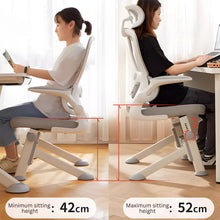 Load image into Gallery viewer, LearnLuxe Ergonomic Study Chair - Mr Nanyang