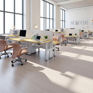 ProStation Adjustable Standing Desks - Mr Nanyang
