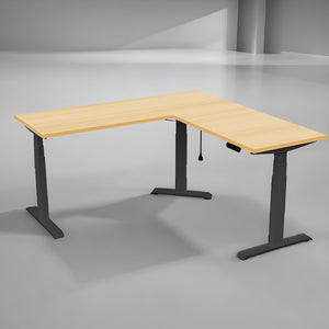ErgoFlex Adjustable L-Shape Office Desk - Mr Nanyang
