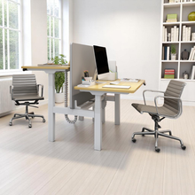Load image into Gallery viewer, ProStation Adjustable Standing Desks - Mr Nanyang