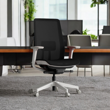 Load image into Gallery viewer, OptiSeat Max Ergonomic Office Chair - Mr Nanyang