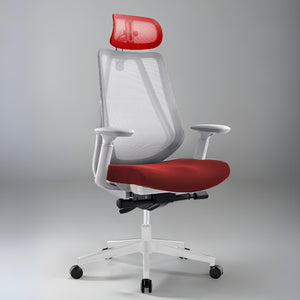 Flower Office Ergonomic Chair - Mr Nanyang
