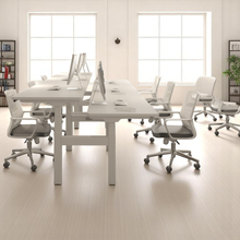 Load image into Gallery viewer, ProStation Adjustable Standing Desks - Mr Nanyang