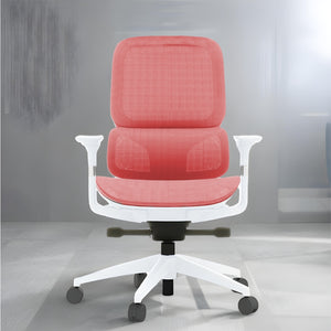 Odin Office Ergonomic Chair - Mr Nanyang
