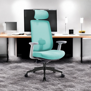 Infinity Mesh Office Ergonomic Chair - Mr Nanyang