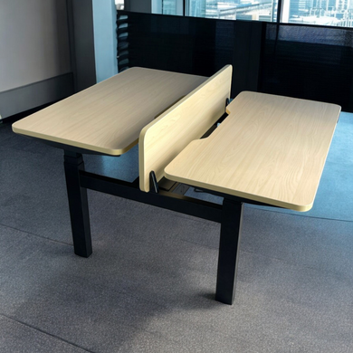 DuoFlex 2-Person Office Adjustable Table - Mr Nanyang