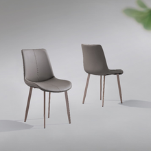 Load image into Gallery viewer, Duralux Home Dining Chair - Mr Nanyang