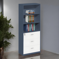 Professional Office Essential Filing Cabinet - Mr Nanyang
