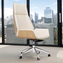 Load image into Gallery viewer, Elegance Pro Ergonomic Office Chair - Mr Nanyang