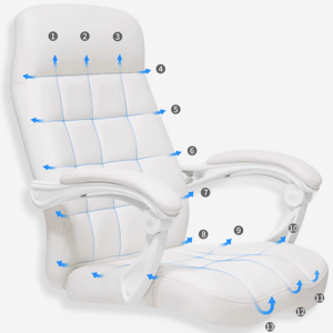 Homework Elegance Office Chair - Mr Nanyang