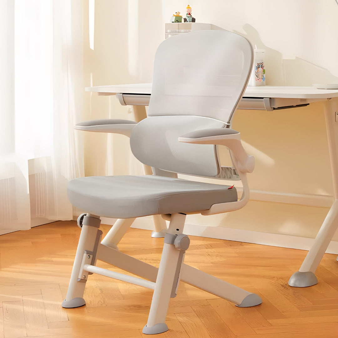 LearnLuxe Ergonomic Study Chair - Mr Nanyang
