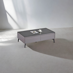 Urban SinterStone Coffee Table - Mr Nanyang