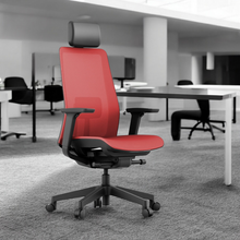 Load image into Gallery viewer, OptiSeat Max Ergonomic Office Chair - Mr Nanyang