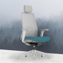 Load image into Gallery viewer, OptiSeat Pro Ergonomic Office Chair - Mr Nanyang