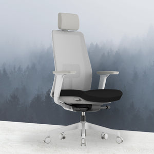 OptiSeat Pro Ergonomic Office Chair - Mr Nanyang