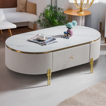 Load image into Gallery viewer, Elegant Sintered Stone Coffee Table - Mr Nanyang