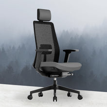 Load image into Gallery viewer, OptiSeat Pro Ergonomic Office Chair - Mr Nanyang