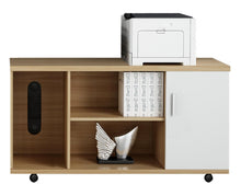Load image into Gallery viewer, Cubic WorkSpace Mobile Office Cabinet - Mr Nanyang
