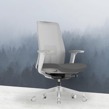 Load image into Gallery viewer, OptiSeat Pro Ergonomic Office Chair - Mr Nanyang