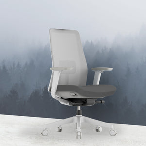 OptiSeat Pro Ergonomic Office Chair - Mr Nanyang