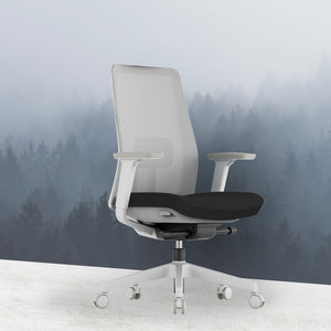 OptiSeat Pro Ergonomic Office Chair - Mr Nanyang