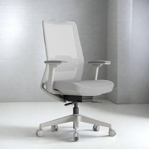 Daebak ComfortPlus Ergonomic Office Chair - Mr Nanyang