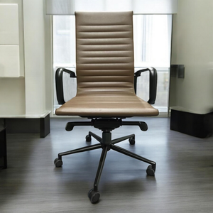 Elegante Home and Office Chair