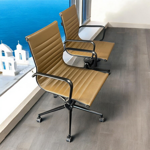 Elegante Home and Office Chair