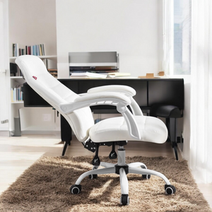 HomeWork Elegance Designer Office Chair - Mr Nanyang