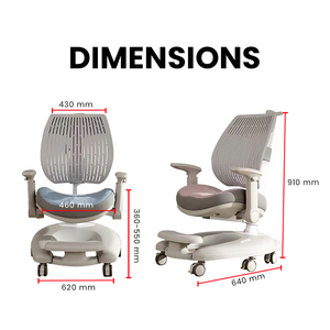 FlexiGrow Child Study Chair - Mr Nanyang