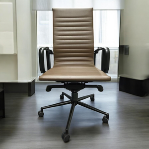 Elegante Home and Office Chair - Mr Nanyang