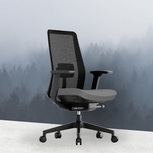 OptiSeat Pro Ergonomic Office Chair - Mr Nanyang