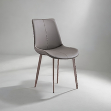 Load image into Gallery viewer, Duralux Home Dining Chair - Mr Nanyang