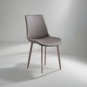 Duralux Home Dining Chair - Mr Nanyang