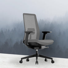 Load image into Gallery viewer, OptiSeat Pro Ergonomic Office Chair - Mr Nanyang