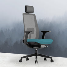 Load image into Gallery viewer, OptiSeat Pro Ergonomic Office Chair - Mr Nanyang