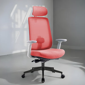 Infinity Mesh Office Ergonomic Chair - Mr Nanyang