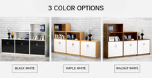 Load image into Gallery viewer, ProVault Office Cabinet and Storage - Mr Nanyang