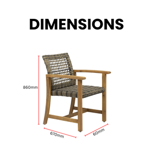 FinleyPatio Solid Teak Rattan Lounge Armchair - Mr Nanyang