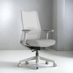 Daebak ComfortPlus Ergonomic Office Chair - Mr Nanyang