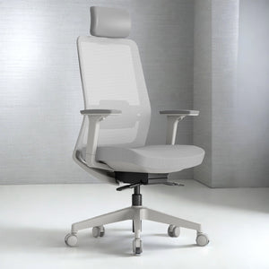 Daebak ComfortPlus Ergonomic Office Chair - Mr Nanyang