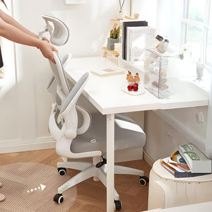 ComfortFlex Pro Ergonomic Chair - Mr Nanyang